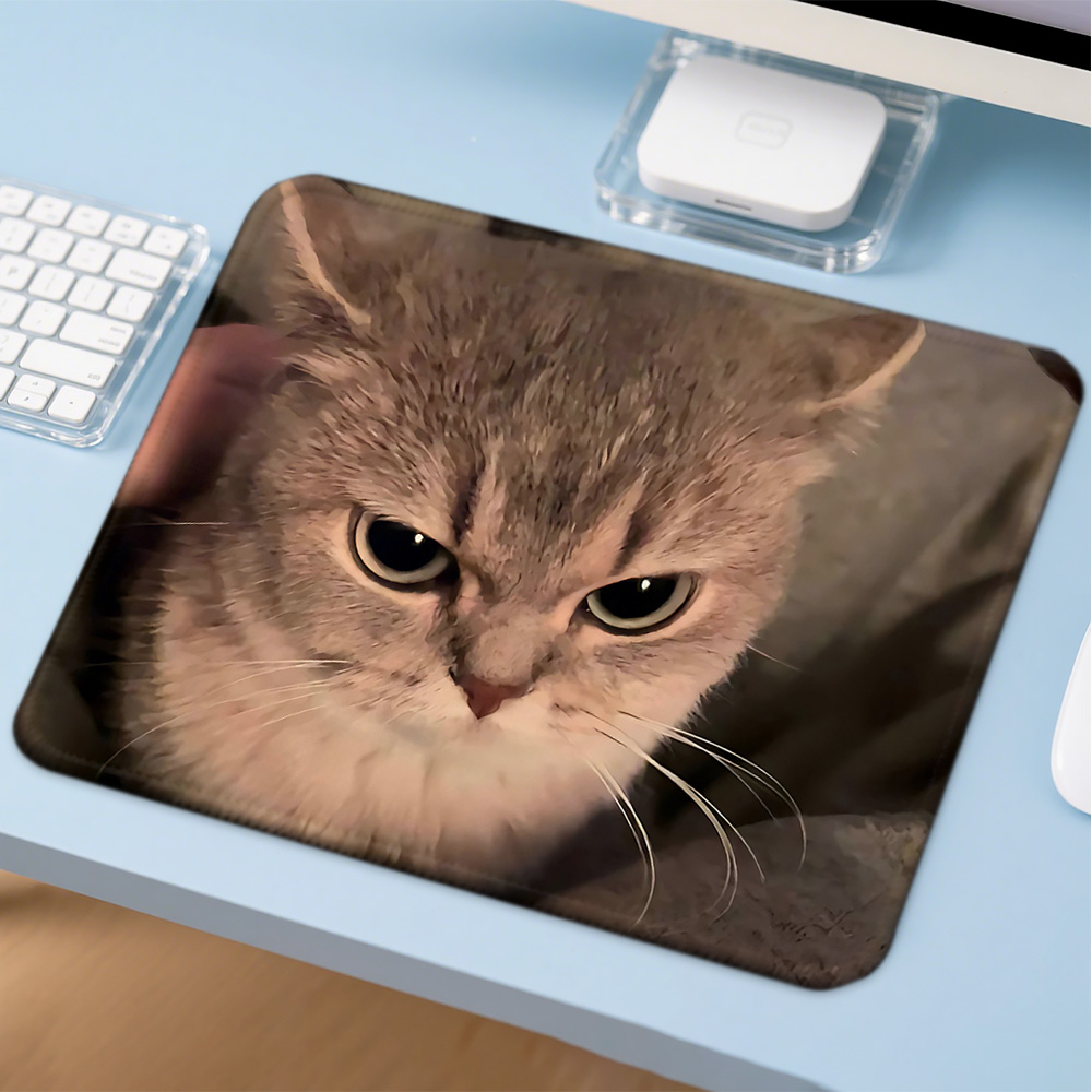 Mosepad Kawaii Funny Cat Compu - Gaming Accessories Companies review and price